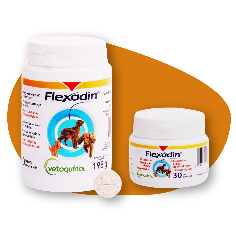 Flexadin Comprimés Chiens Et Chats (30 Comprimés) : les 30 unités